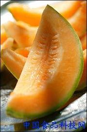 十四吃哈密瓜,探索哈密瓜的无限魅力
