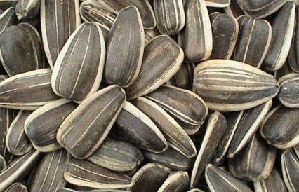 葵瓜煮汤怎么吃,营养美味，健康养生新选择