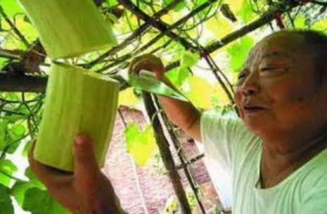 瓜砍着吃,体验一刀砍开的新鲜滋味