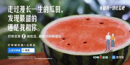 瓜田里吃瓜掉渣