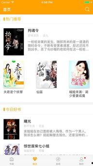 从未吃瓜后续小说,揭开未知的神秘面纱