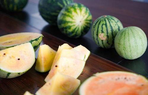 浙旅院吃瓜,揭秘校园美食背后的故事