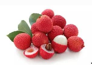 小荔枝吃瓜,小荔枝的夏日吃瓜日记