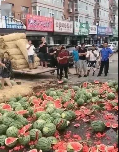 桓台新城吃瓜事件,一场引发社会关注的网络风波