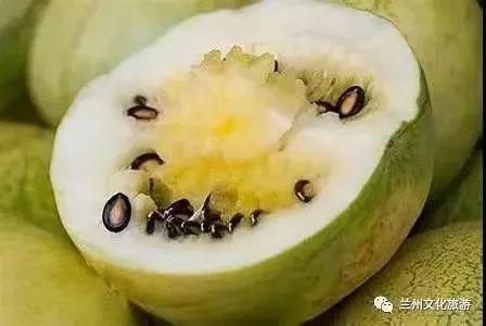 兰州人吃籽瓜