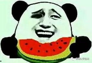 吃瓜群 微信,微信社交新现象背后的故事