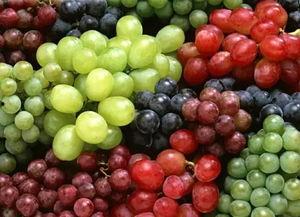 吃瓜不葡萄皮,揭秘“吃瓜不葡萄皮”背后的趣味与哲理