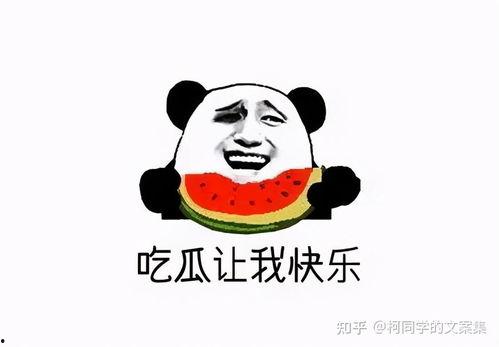 吐槽吃瓜文案搞笑,笑料百出，瓜田里的欢乐时光