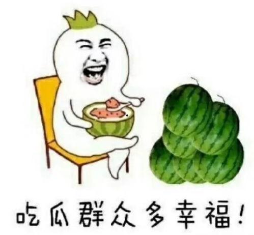吃瓜看饭圈,吃瓜看饭圈背后的娱乐生态